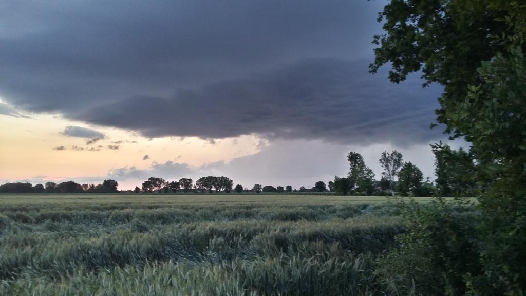 Willa Agriturismo Boschi Reggiolo Zewnętrze zdjęcie