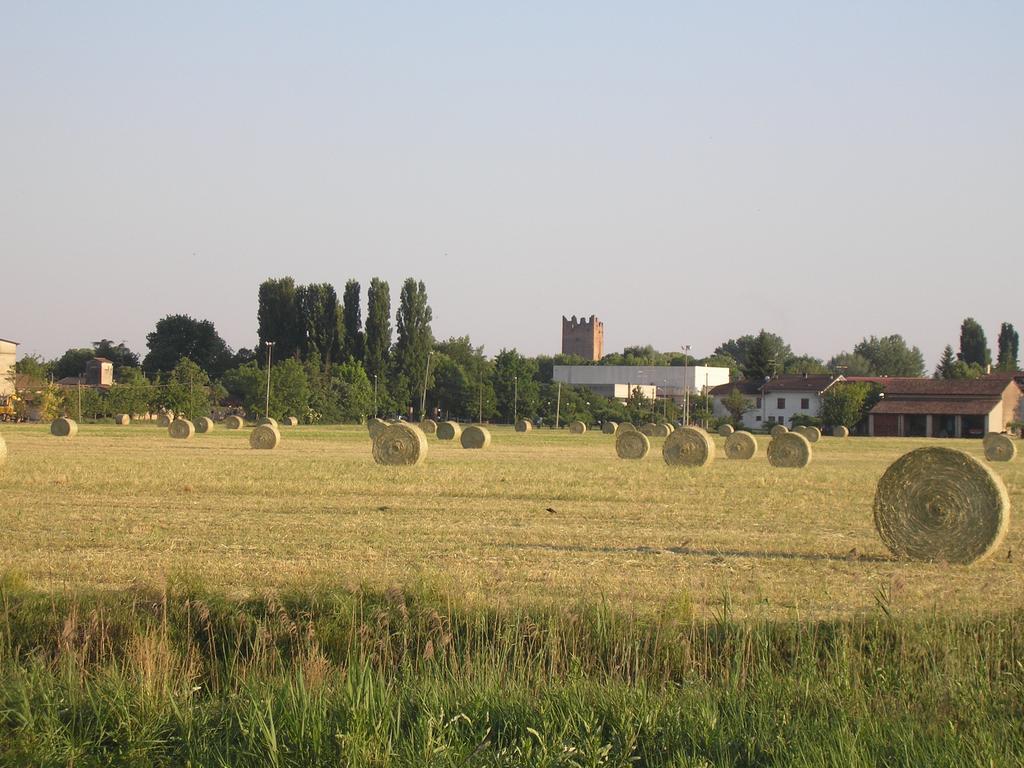 Willa Agriturismo Boschi Reggiolo Zewnętrze zdjęcie