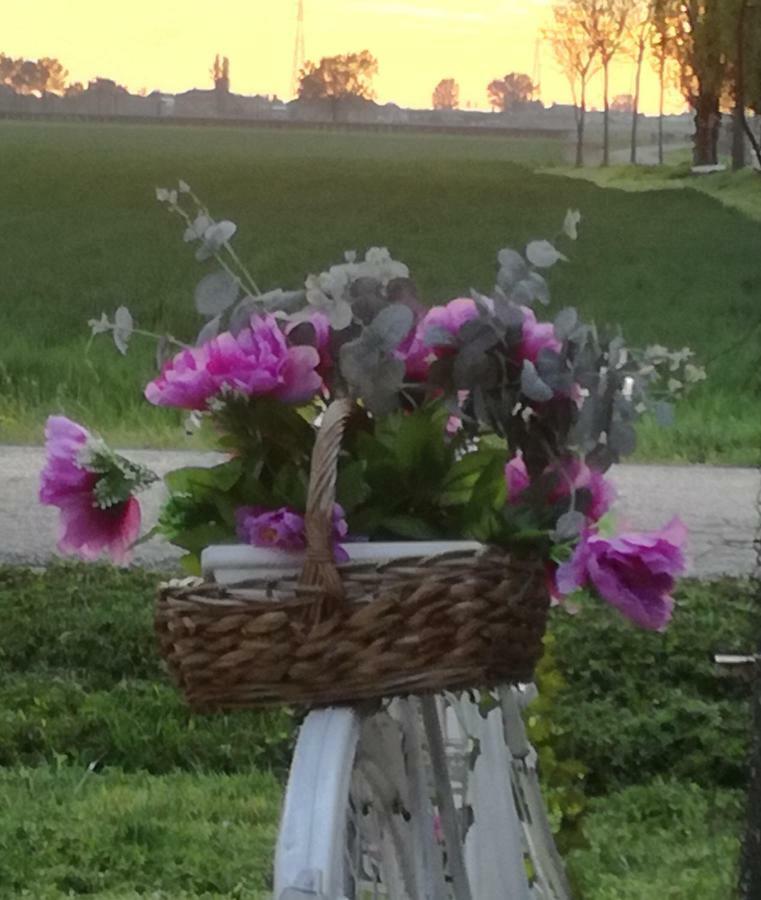 Agriturismo Boschi Reggiolo Zewnętrze zdjęcie